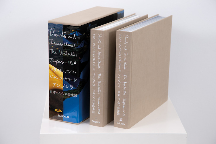 Umbrellas - Japan/USA