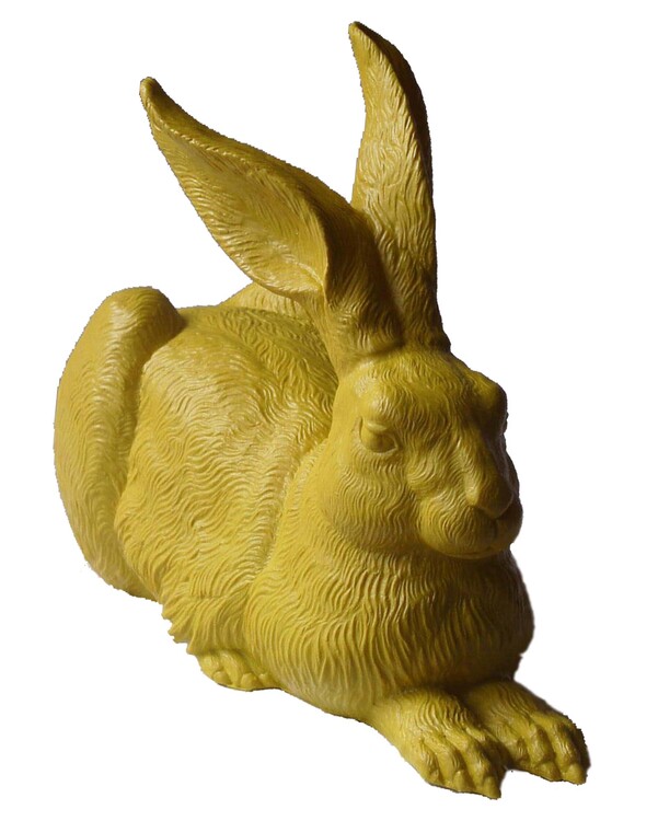 Dürers Hase (gelb)