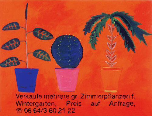 Diverse Zimmerpflanzen