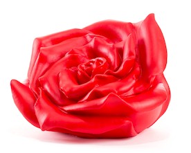 Rose (in verschiedenen Farbvarianten)